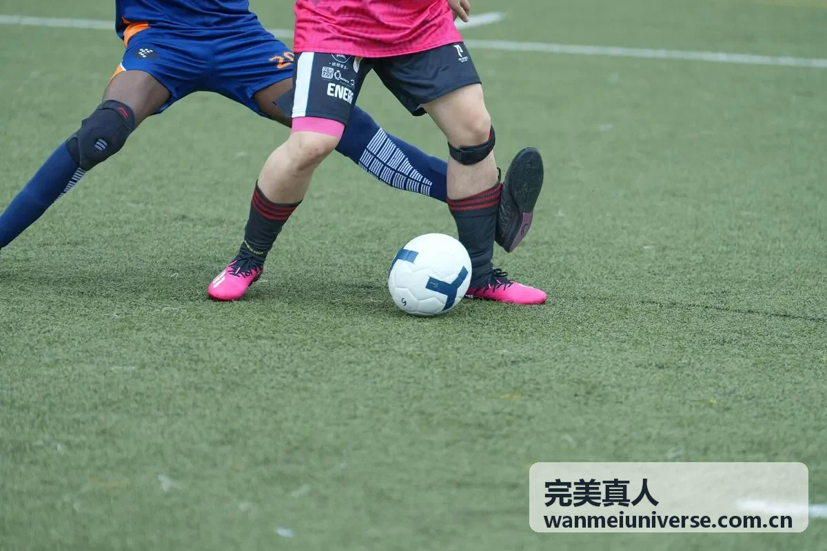 完美真人轻松交流主题活动